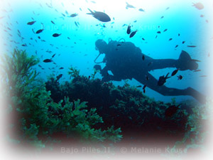 buceo-mar-menor