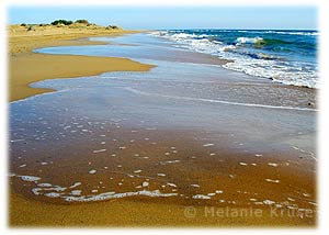 calblanque