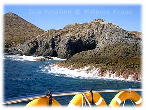 isal-farallon-isla-grosa