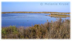 salinas-san-pedro-mar-menor